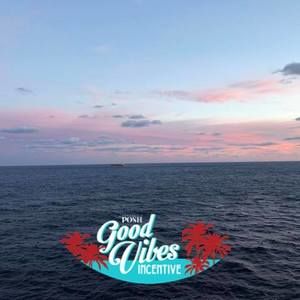 Meet your Posher, Anne